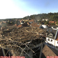 17_35-nest.jpg