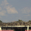 17_40-mast.jpg