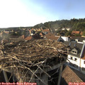 17_40-nest.jpg