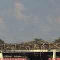 17_45-mast.jpg