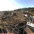 17_45-nest.jpg