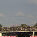 18_00-mast.jpg