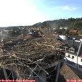 18_00-nest.jpg