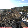 18_05-nest.jpg