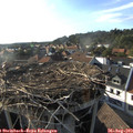 18_10-nest.jpg