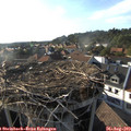 18_15-nest.jpg