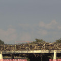 18_20-mast.jpg