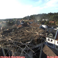 18_20-nest.jpg