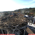 18_30-nest.jpg
