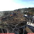 18_35-nest.jpg