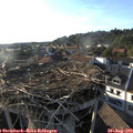 18_40-nest.jpg
