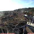 18_45-nest.jpg