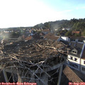 18_50-nest.jpg