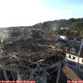 18_55-nest.jpg