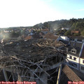 19_00-nest.jpg