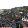 19_10-nest.jpg