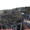 19_15-nest.jpg
