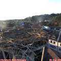 19_25-nest.jpg