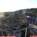 19_35-nest.jpg