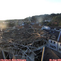 19_40-nest.jpg