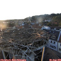 19_45-nest.jpg