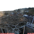 19_50-nest.jpg