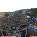19_55-nest.jpg