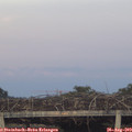 20_00-mast.jpg
