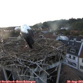 20_05-nest.jpg