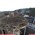 06_40-nest.jpg