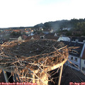 06_45-nest.jpg
