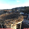 06_55-nest.jpg