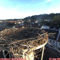 07_00-nest.jpg