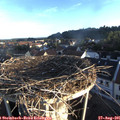 07_05-nest.jpg
