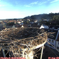 07_10-nest.jpg