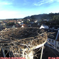 07_15-nest.jpg