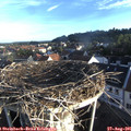 07_20-nest.jpg