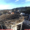 07_25-nest.jpg