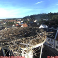 07_35-nest.jpg
