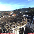 07_40-nest.jpg