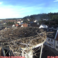 07_45-nest.jpg