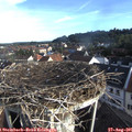 07_50-nest.jpg