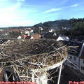 07_55-nest.jpg