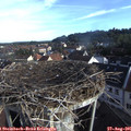 08_00-nest.jpg
