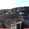 08_05-nest.jpg