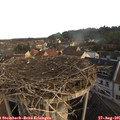 08_10-nest.jpg