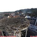 08_15-nest.jpg