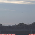 08_20-mast.jpg