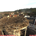 08_20-nest.jpg