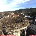 08_25-nest.jpg